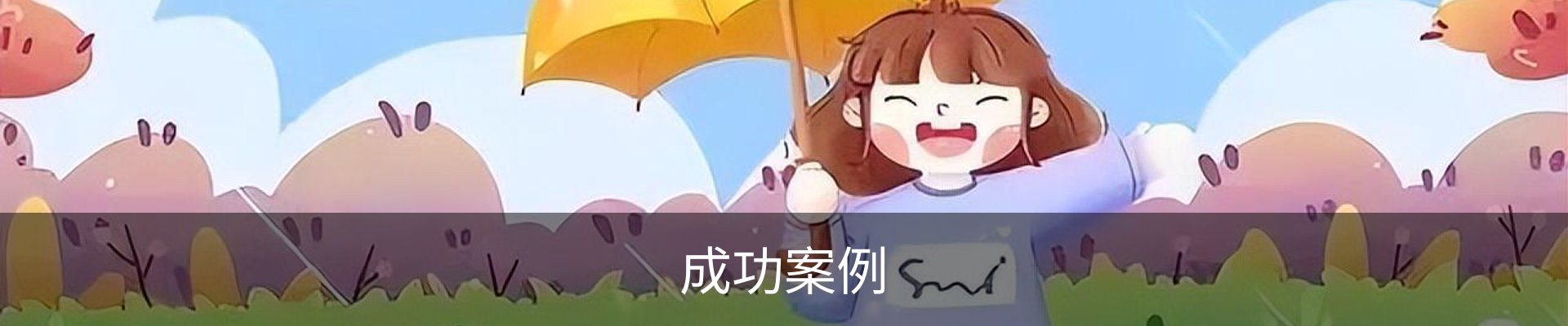 成功案例